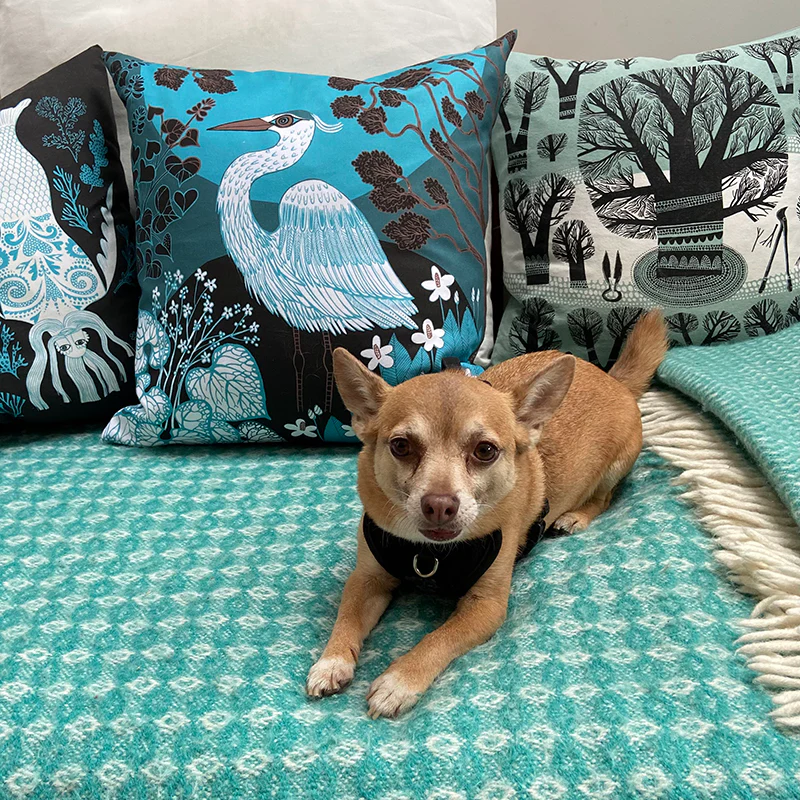 Bird cushion - Image 5