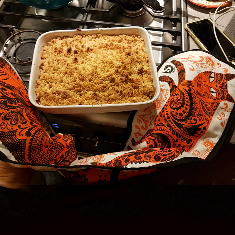 Kitty Oven Gloves - Image 3