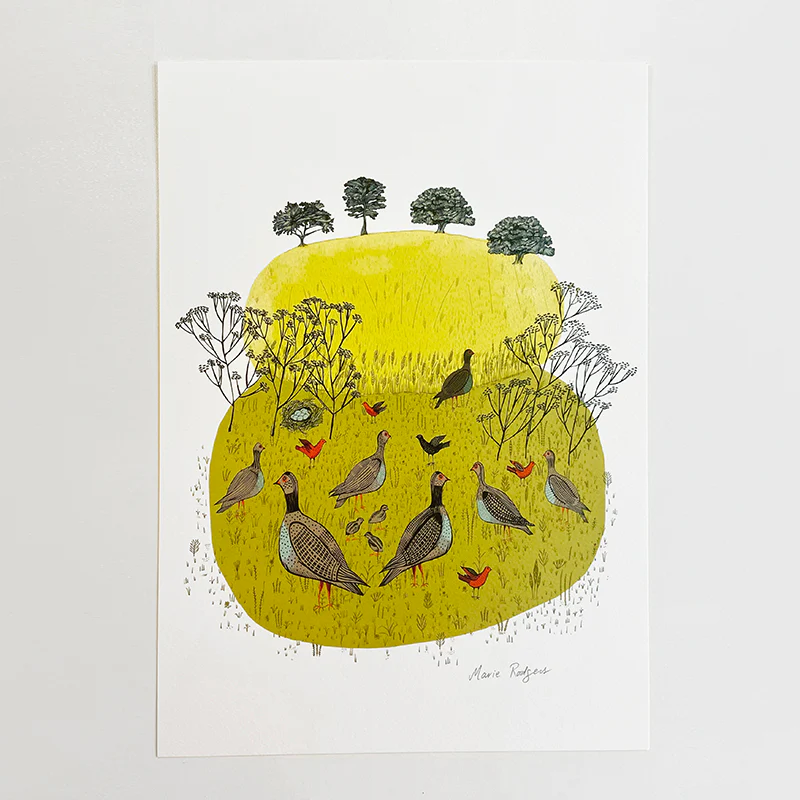 Partridges Print - Image 2